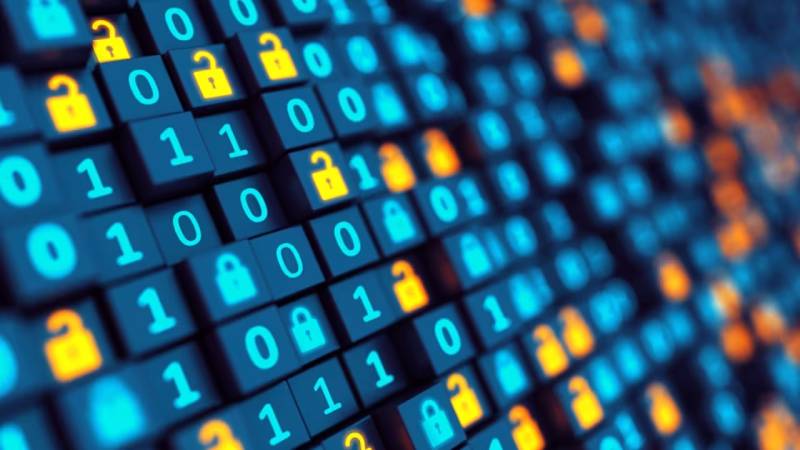 金乡县软件定制：数据管理效能的核心密钥